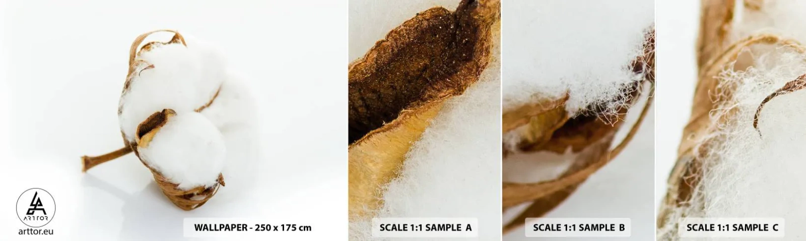 Échantillon De Papier Peint Standard Eco - Doux par nature - Coton, Minimaliste, Fleur - 100x30 cm