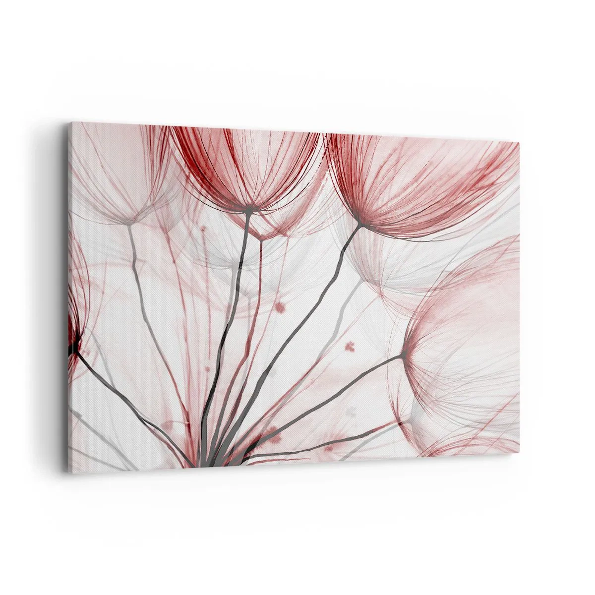 Impression sur toile - Image sur toile - Fleurs délicates dans des tons de rouge sur fond clair - 120x80cm - Avant le départ - Décoration murale moderne pour le salon et la chambre ARTTOR
