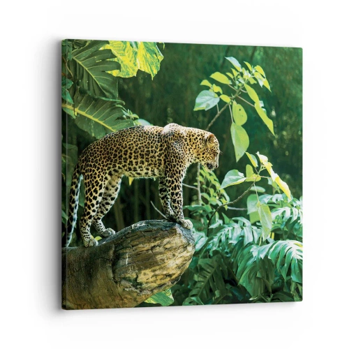 Impression sur toile - Image sur toile - À la chasse? - 30x30 cm