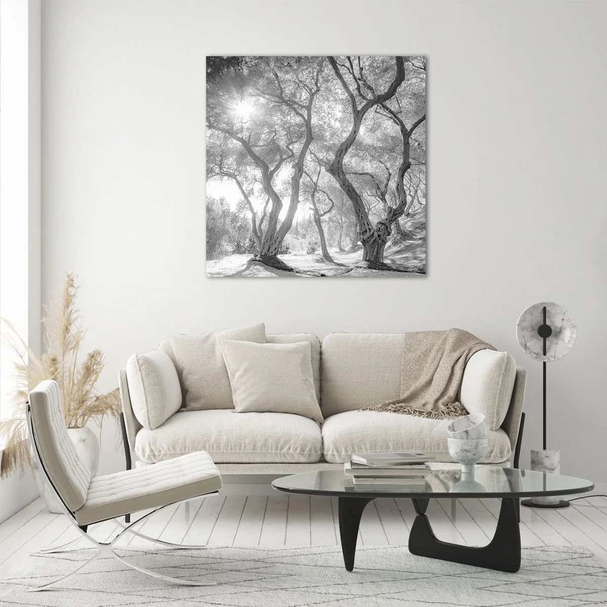 Impression sur verre - Image sur verre - Dans l'oliveraie - 50x50 cm