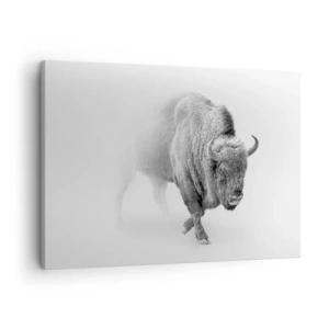 Impression sur toile - Image sur toile - Bison blanc dans un décor minimaliste - 70x50cm - Roi de la prairie - Décoration murale moderne pour le salon et la chambre ARTTOR
