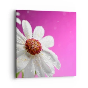 Impression sur toile - Image sur toile - Modeste dans sa beauté - 40x40 cm