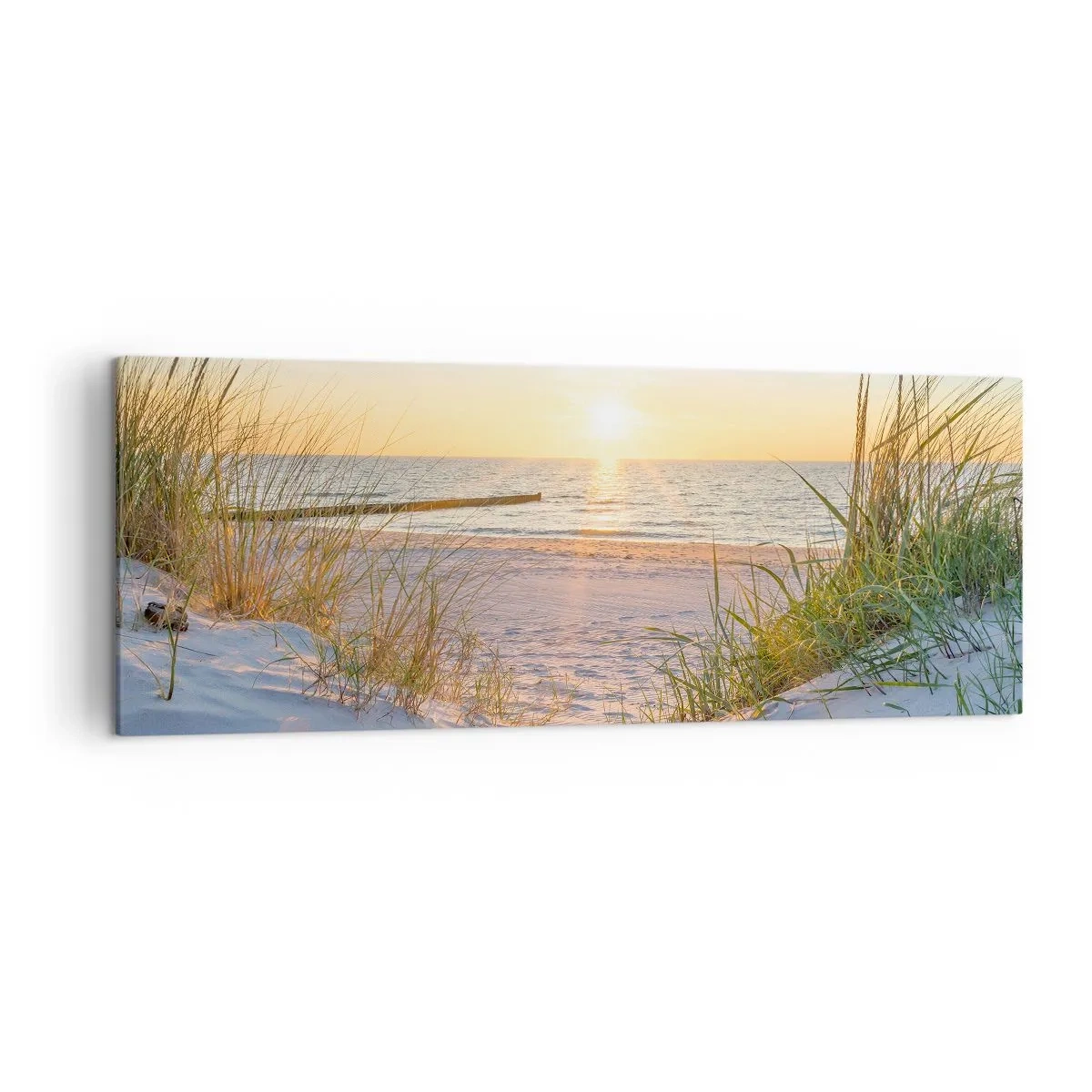 Impression sur toile - Image sur toile - Une plage de sable avec vue sur le coucher de soleil sur la mer - 140x50cm - Le bruit de la mer, le chant des oiseaux, une plage sauvage parmi les herbes… - Décoration murale moderne pour le salon et la chambre ART