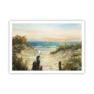 Affiche - Poster - Côte avec mouettes et dunes au coucher du soleil - 100x70cm - Retraite au calme - Décoration murale moderne pour le salon et la chambre ARTTOR