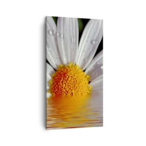 Impression sur toile - Image sur toile - Le soleil levant des marguerites - 45x80 cm