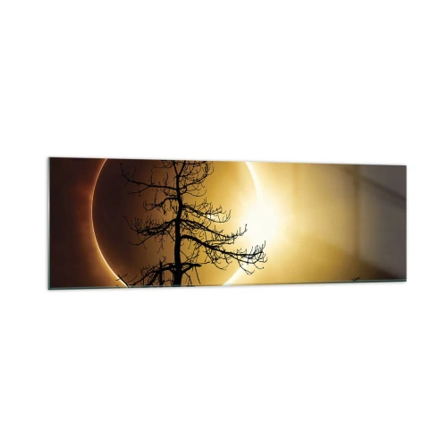 Impression sur verre - Image sur verre - Éclipse solaire avec une silhouette d'arbre au premier plan - 160x50cm - Éclipse totale - Décoration murale moderne pour le salon et la chambre ARTTOR