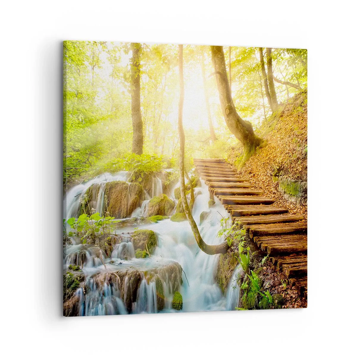 Impression sur toile - Image sur toile - Une fraîcheur tant désirée - 50x50 cm