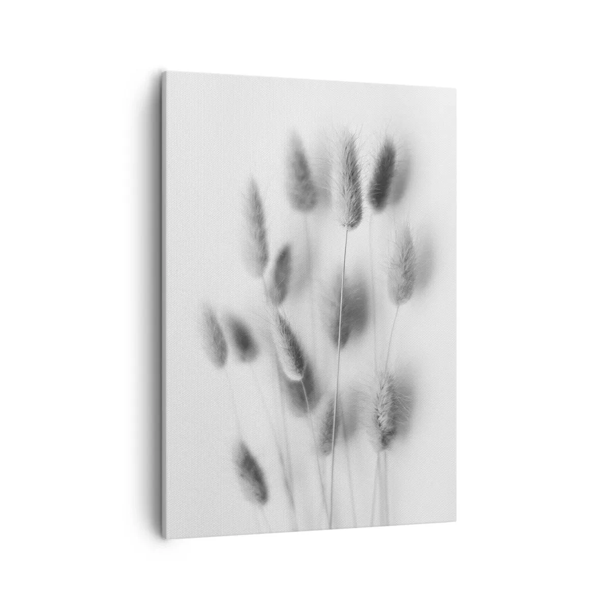 Impression sur toile - Image sur toile - Graminées délicates dans des tons de gris sur fond blanc - 50x70cm - Son herbe duveteuse - Décoration murale moderne pour le salon et la chambre ARTTOR
