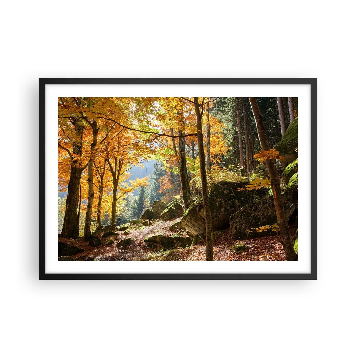 Affiche dans un cadre noir - Poster - Une forêt d'automne pleine de feuilles dorées et de soleil - 70x50cm - Il est temps de se détendre - Décoration murale moderne pour le salon et la chambre ARTTOR