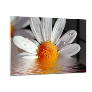 Impression sur verre - Image sur verre - Une marguerite avec des gouttes d'eau se reflétant dans l'eau - 120x80cm - Le soleil levant des marguerites - Décoration murale moderne pour le salon et la chambre ARTTOR