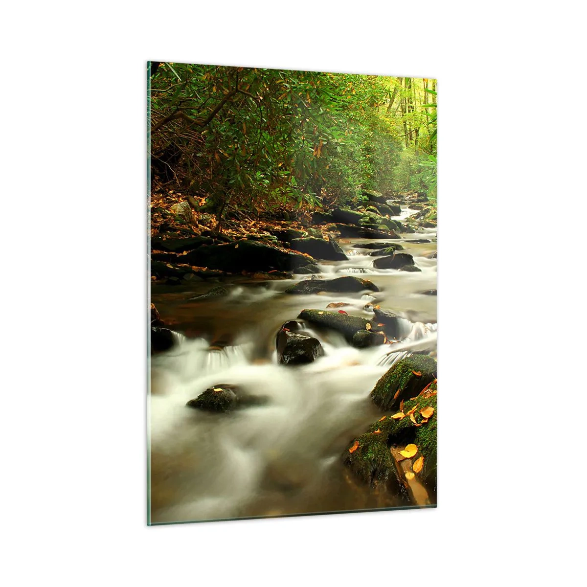 Impression sur verre - Image sur verre - Un ruisseau dans la forêt entouré de pierres et de feuilles - 50x70cm - Comme de l'argent liquide - Décoration murale moderne pour le salon et la chambre ARTTOR