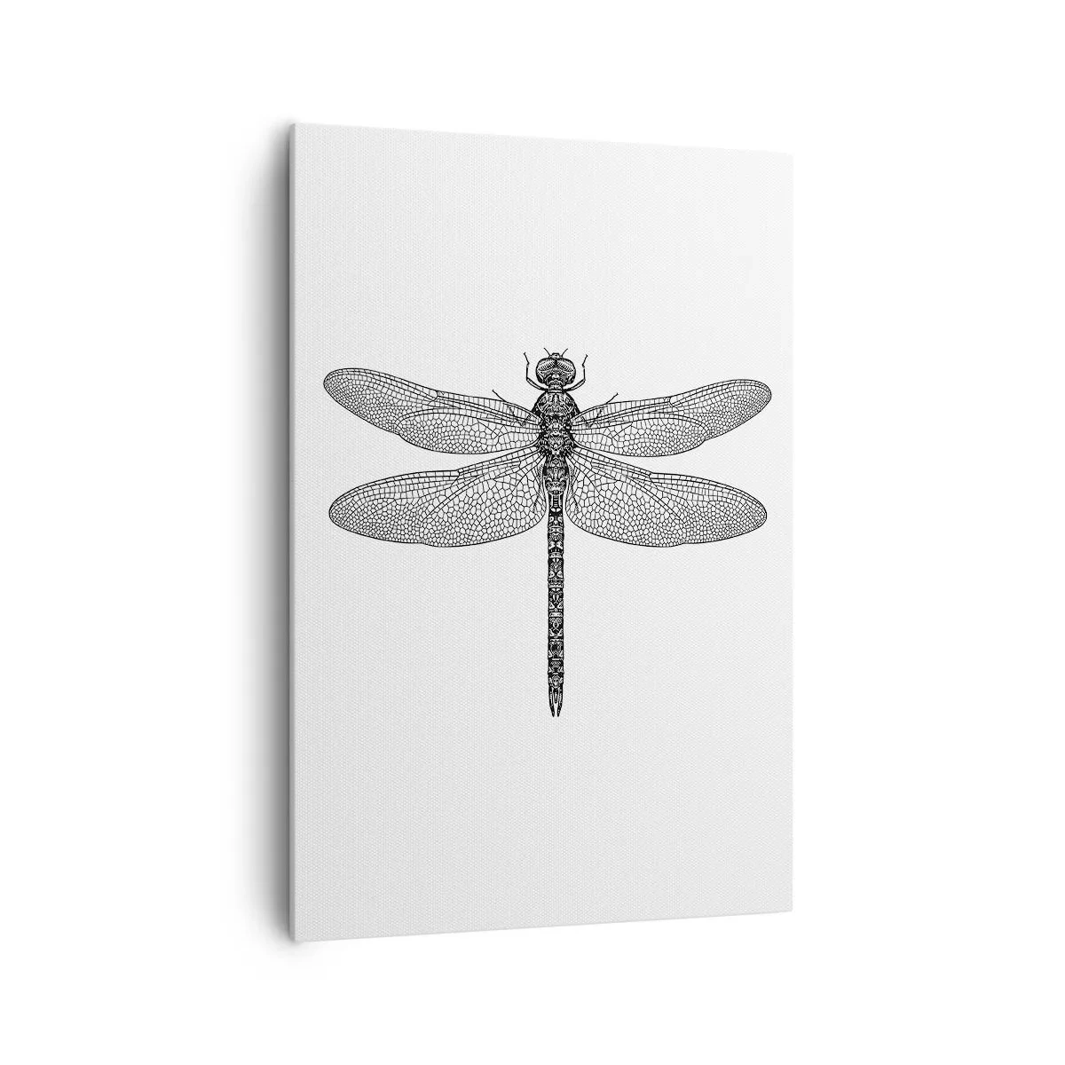 Impression sur toile - Image sur toile - Dessin noir et blanc d'une libellule sur fond blanc dans un style minimaliste - 70x100cm - Précision de la nature - Décoration murale moderne pour le salon et la chambre ARTTOR