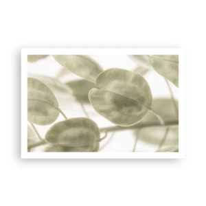 Affiche - Poster - Au commencement il y avait des feuilles... - 91x61 cm