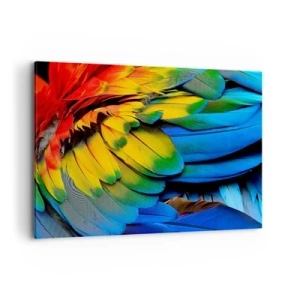 Impression sur toile - Image sur toile - Gros plan des plumes colorées d'un perroquet - 120x80cm - Oiseau de paradis - Décoration murale moderne pour le salon et la chambre ARTTOR
