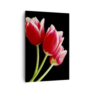Impression sur toile - Image sur toile - Tulipes rouges avec des gouttes de rosée sur fond noir - 70x100cm - Une promesse d'amour pur - Décoration murale moderne pour le salon et la chambre ARTTOR