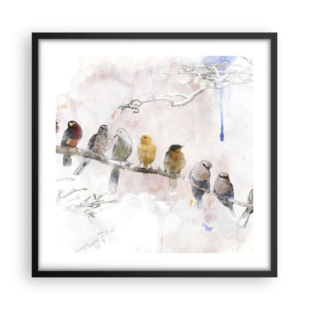 Affiche dans un cadre noir - Poster - Rencontre ailée - 50x50 cm