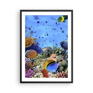 Affiche dans un cadre noir - Poster - Le monde sous-marin d'un récif corallien avec des poissons tropicaux - 50x70cm - Et que sait-on de la vie… - Décoration murale moderne pour le salon et la chambre ARTTOR