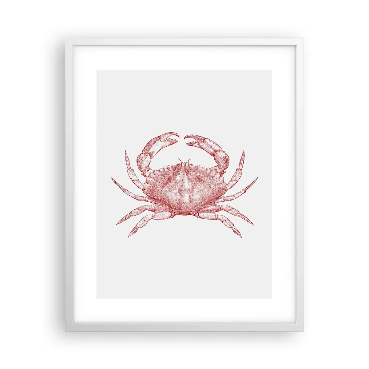 Affiche dans un cadre blanc - Poster - Le crabe des crabes - 40x50 cm