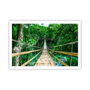 Affiche - Poster - Pont de singe en pleine nature - 91x61 cm