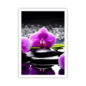 Affiche - Poster - Se noyer dans la paix et la tranquillité - 70x100 cm