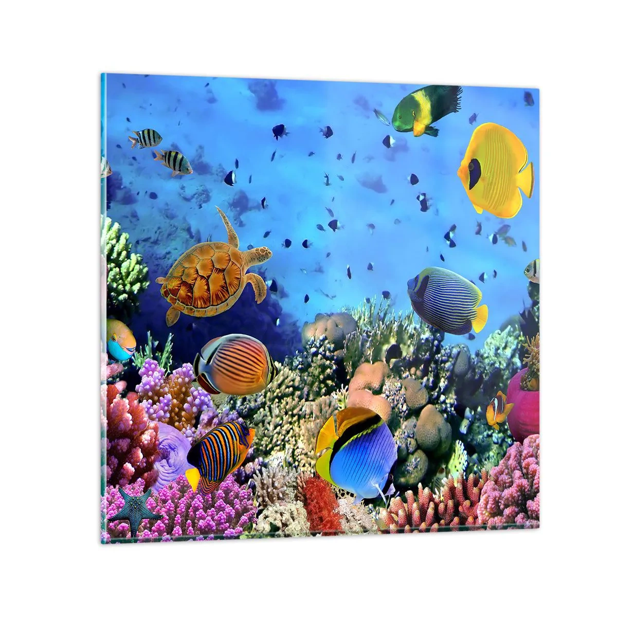 Impression sur verre - Image sur verre - Et que sait-on de la vie… - 50x50 cm