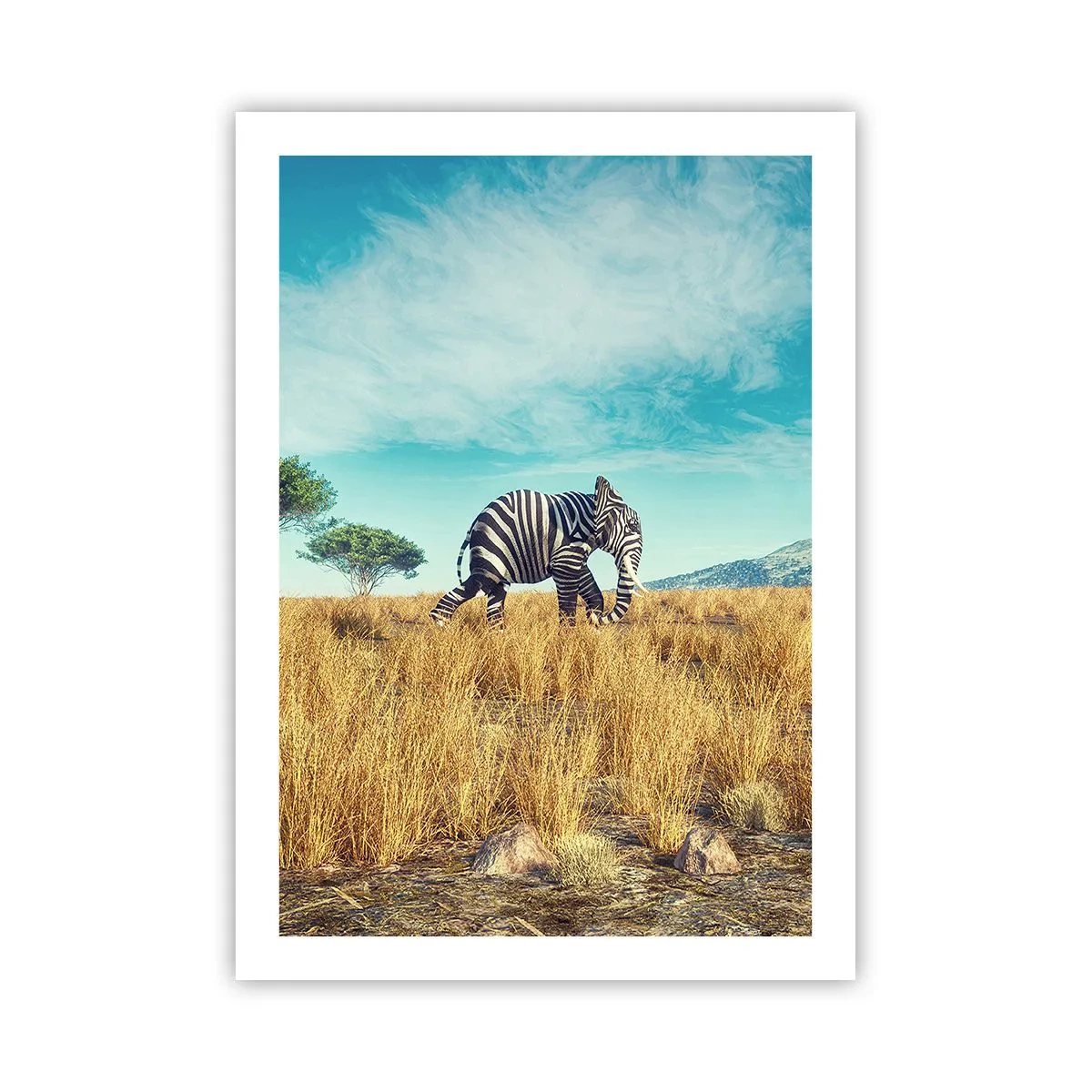 Affiche - Poster - Un zèbre avec un corps d'éléphant sur fond de savane africaine - 50x70cm - Le gris n'est déjà plus à la mode - Décoration murale moderne pour le salon et la chambre ARTTOR