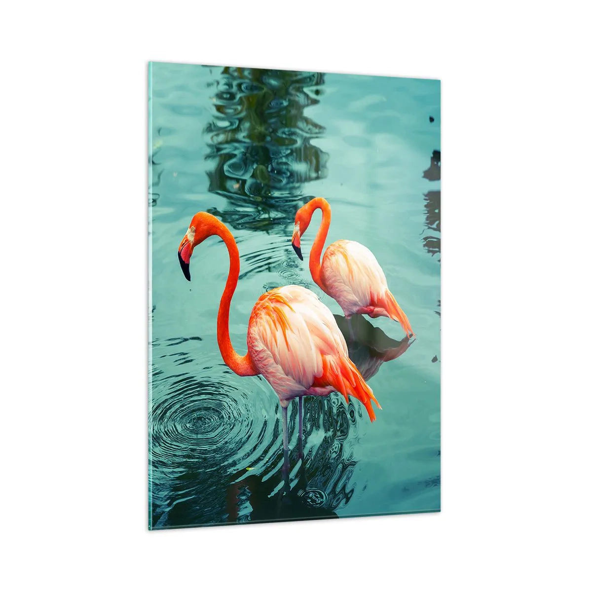 Impression sur verre - Image sur verre - Flamants roses sur l'eau dans une composition harmonieuse - 50x70cm - Nous sommes à la mode maintenant - Décoration murale moderne pour le salon et la chambre ARTTOR