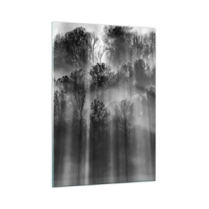 Impression sur verre - Image sur verre - Des rayons de lumière noirs et blancs pénètrent la forêt - 50x70cm - Dans les flots de lumière - Décoration murale moderne pour le salon et la chambre ARTTOR