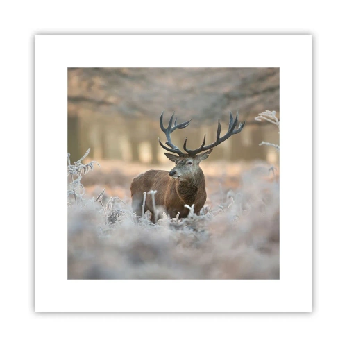 Affiche - Poster - Une matinée animée - 30x30 cm