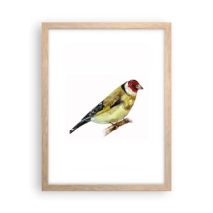 Affiche dans un chêne clair - Poster - Portrait d'oiseau - 30x40 cm