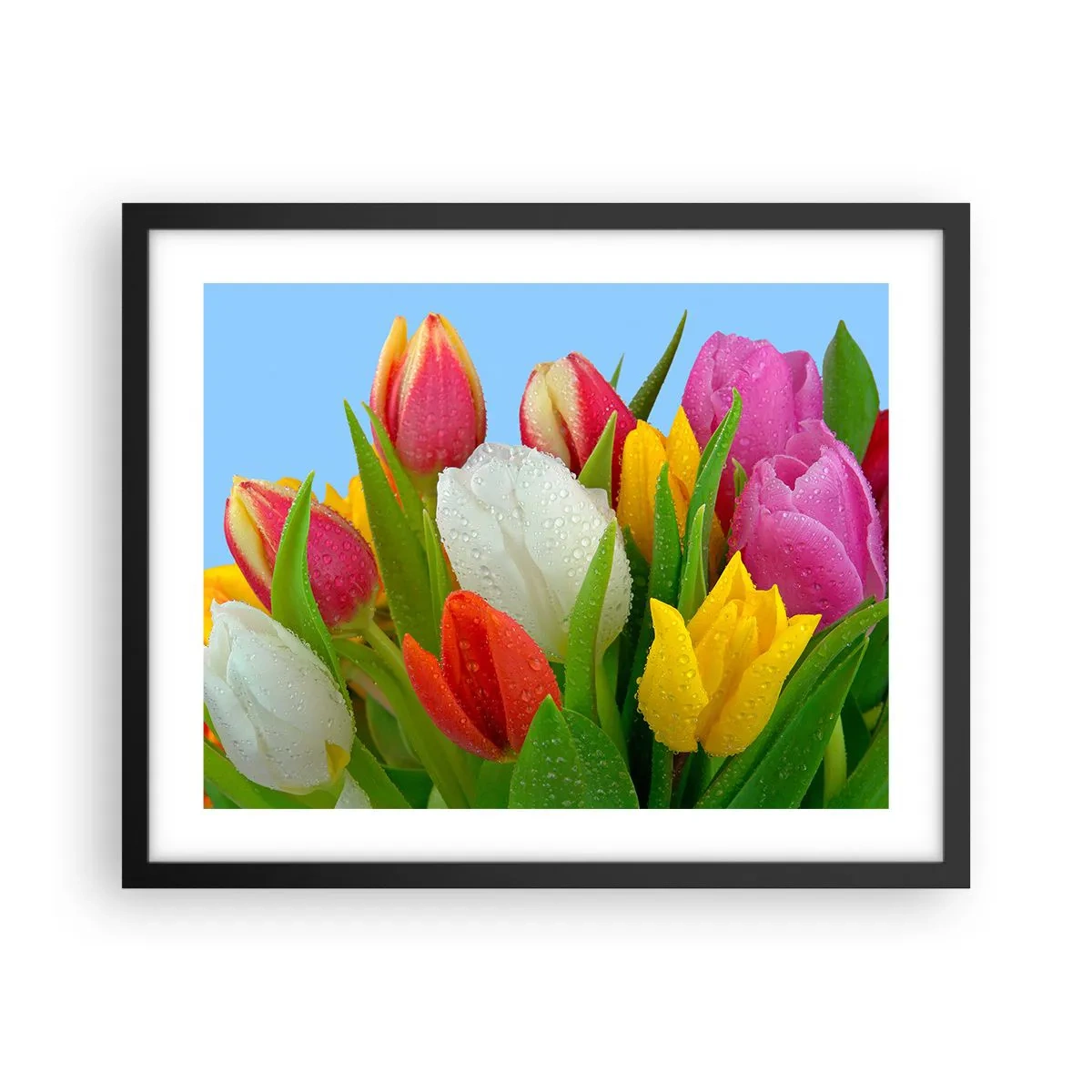 Affiche dans un cadre noir - Poster - Un arc-en-ciel fleuri en gouttes de rosée - 50x40 cm