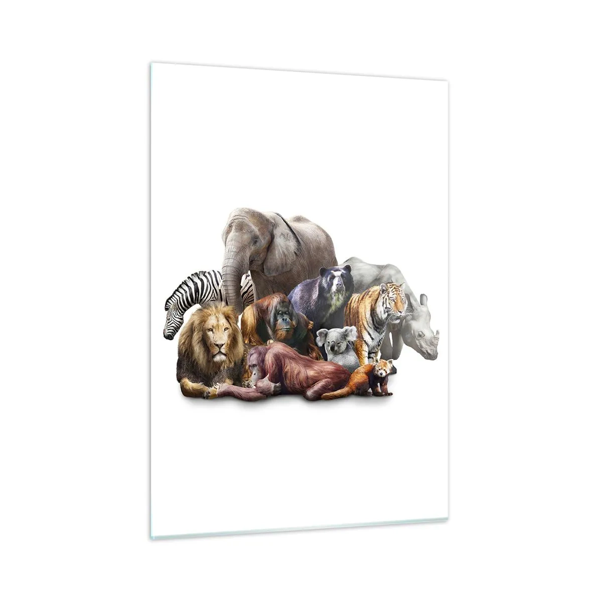 Impression sur verre - Image sur verre - Un groupe d'animaux sauvages sur fond blanc dans une prise de vue artistique - 50x70cm - Photographie de famille africaine - Décoration murale moderne pour le salon et la chambre ARTTOR