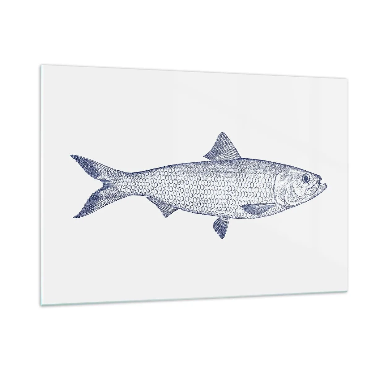 Impression sur verre - Image sur verre - Croquis de poisson de style vintage sur fond clair - 120x80cm - Salutations des mers du nord - Décoration murale moderne pour le salon et la chambre ARTTOR