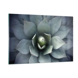 Impression sur verre - Image sur verre - Gros plan des feuilles d'agave symétriques de couleur acier. - 120x80cm - Wabi et observe - Décoration murale moderne pour le salon et la chambre ARTTOR