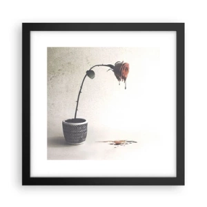 Affiche dans un cadre noir - Poster - Rosa dolorosa - 30x30 cm