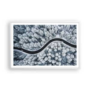 Affiche dans un cadre blanc - Poster - À travers une forêt d'hiver - 91x61 cm