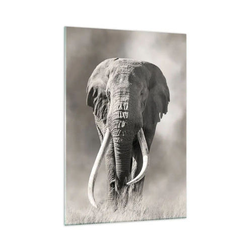 Impression sur verre - Image sur verre - Patriarche africain - 70x100 cm