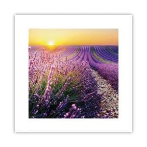 Affiche - Poster - Tige parfumée - 30x30 cm