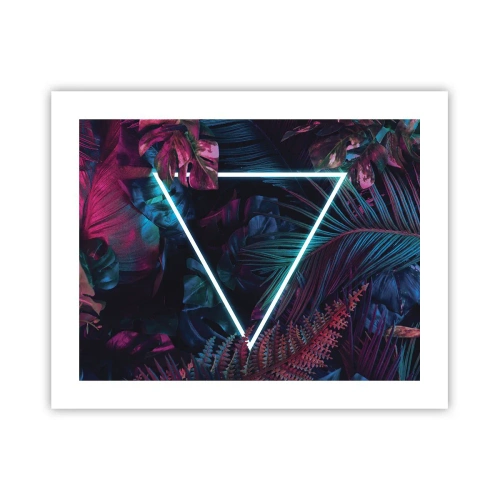 Affiche - Poster - Jardin de style disco - 50x40 cm