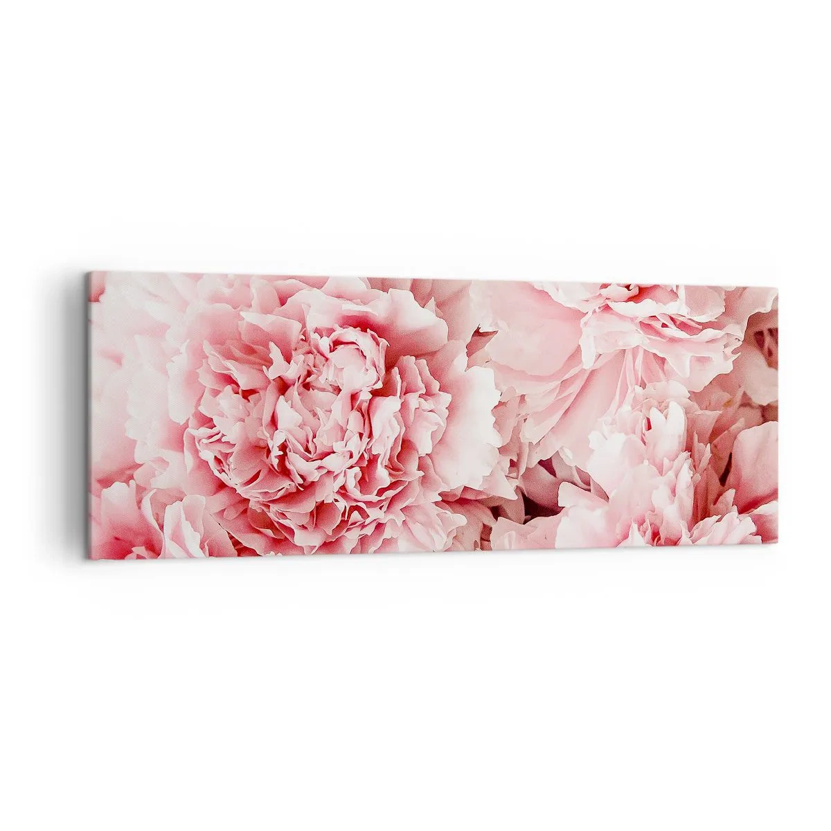 Impression sur toile - Image sur toile - Pivoines roses subtiles dans un décor délicat - 140x50cm - Rêve rose - Décoration murale moderne pour le salon et la chambre ARTTOR