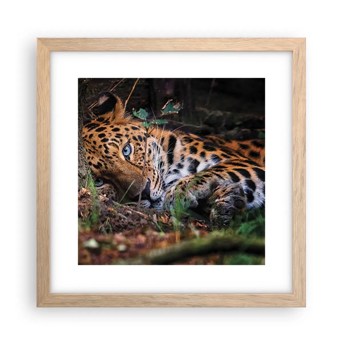 Affiche dans un chêne clair - Poster - Fais-moi confiance - 30x30 cm