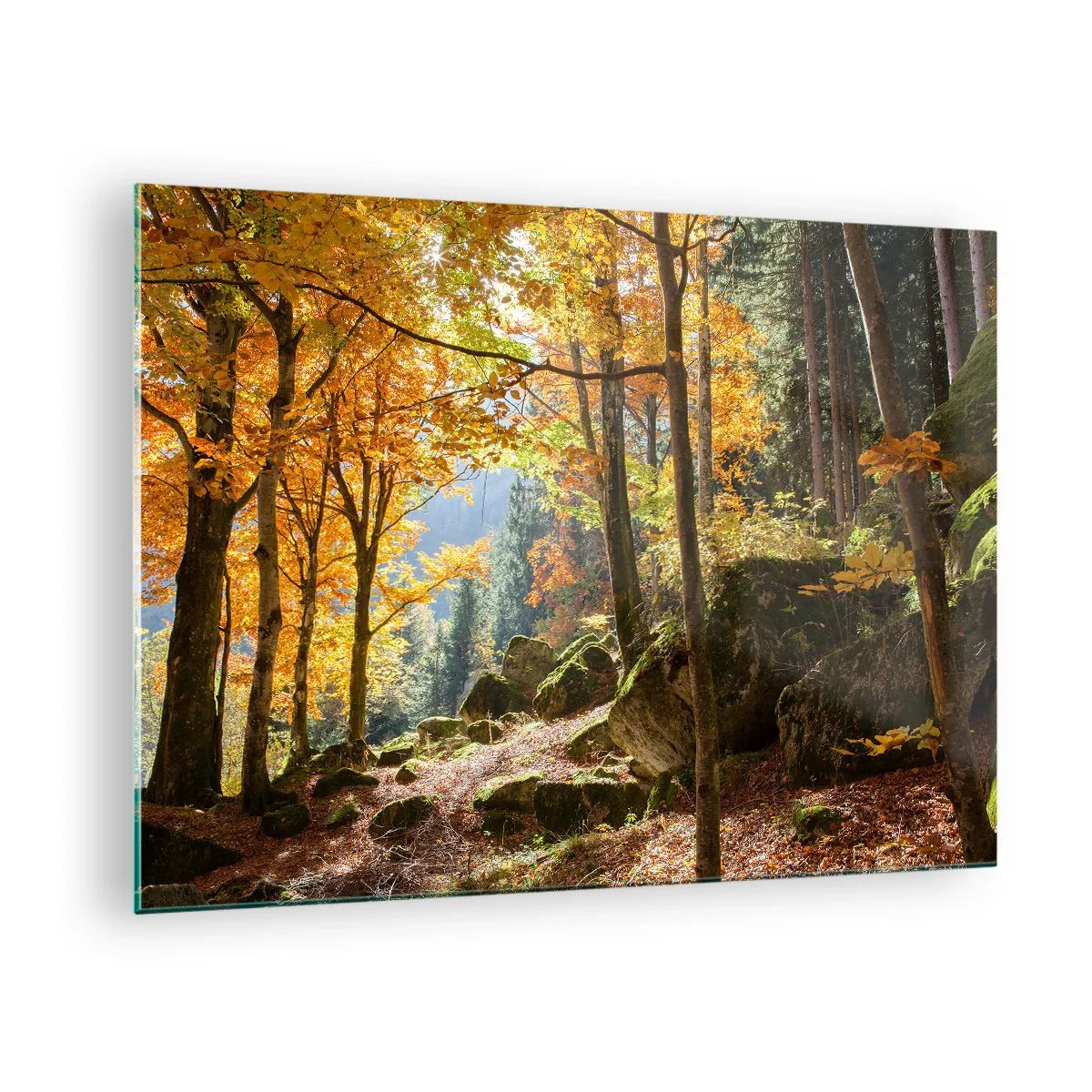 Impression sur verre - Image sur verre - Forêt d'automne avec rayons de soleil et pierres - 70x50cm - Il est temps de se détendre - Décoration murale moderne pour le salon et la chambre ARTTOR