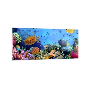 Impression sur verre - Image sur verre - Récif corallien avec des poissons colorés et une tortue de mer - 120x50cm - Et que sait-on de la vie… - Décoration murale moderne pour le salon et la chambre ARTTOR