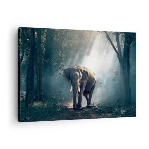 Impression sur toile - Image sur toile - Éléphant dans la lumière de la forêt - 70x50cm - Une balade tranquille - Décoration murale moderne pour le salon et la chambre ARTTOR