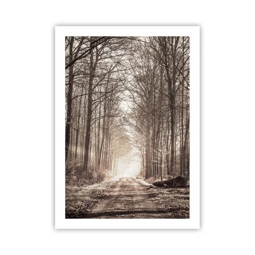 Affiche - Poster - Un chemin forestier aux tons sépia automnaux - 50x70cm - Cathédrale de la forêt - Décoration murale moderne pour le salon et la chambre ARTTOR