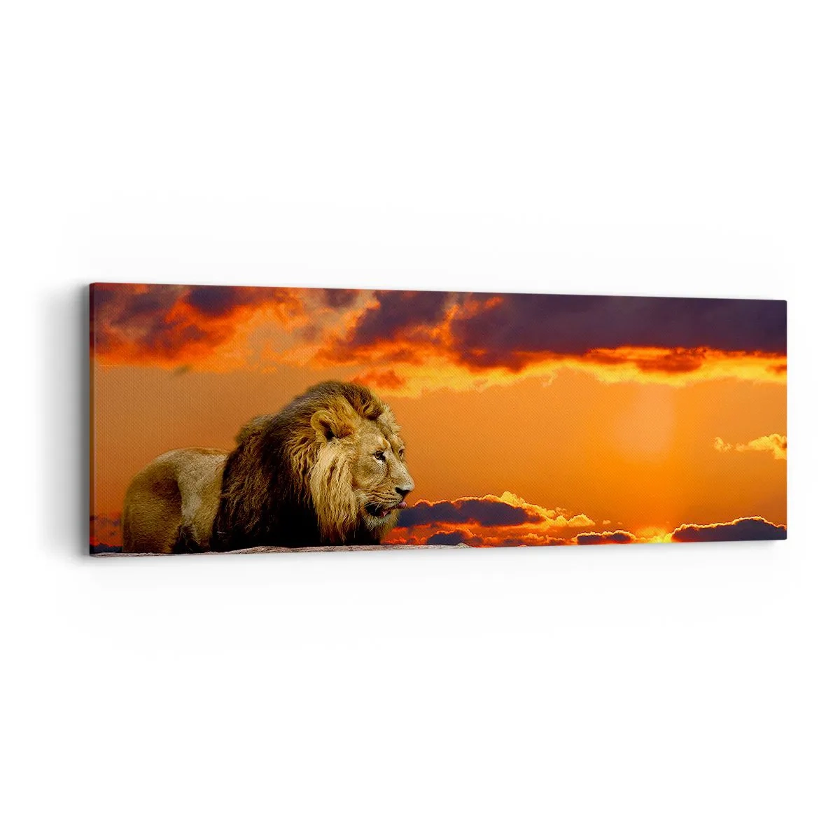 Impression sur toile - Image sur toile - Le roi de la nature - 90x30 cm
