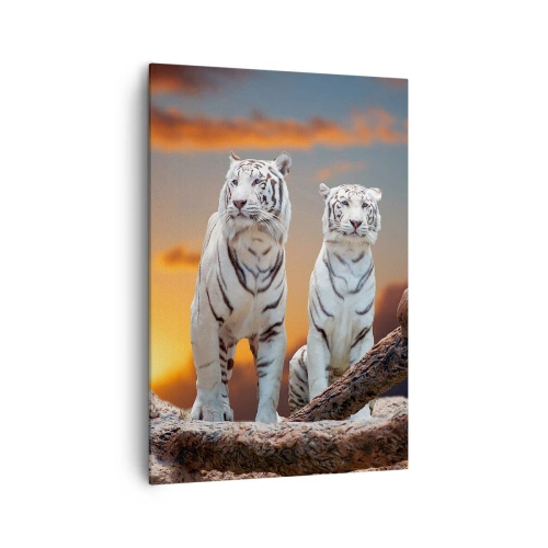 Impression sur toile - Image sur toile - Tigres blancs au soleil couchant sur fond de nature - 70x100cm - Tout comme à Narnia - Décoration murale moderne pour le salon et la chambre ARTTOR