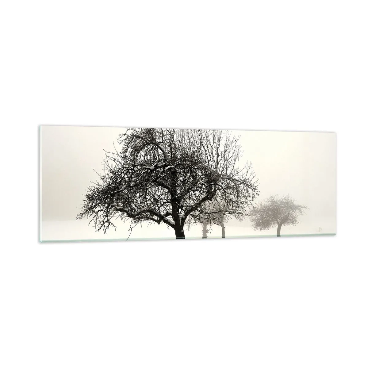 Impression sur verre - Image sur verre - Un rêve hivernal - 90x30 cm