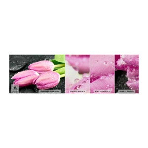 Échantillon de Papier Peint Premium Canvas - Lilas trois sur une pierre noire - Fleurs, Tulipes, Bouquet de fleurs - 100x30 cm
