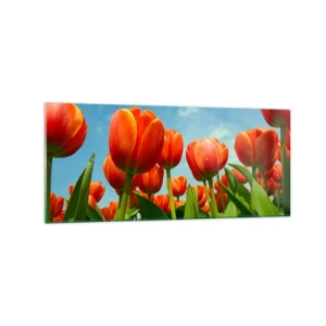 Impression sur verre - Image sur verre - Un champ de tulipes rouges et oranges contre un ciel bleu - 120x50cm - A part le ciel bleu, ils n'ont besoin de rien dans leur vie - Décoration murale moderne pour le salon et la chambre ARTTOR